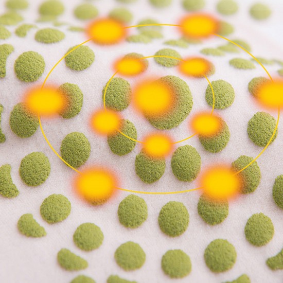 Winter-High-Stretch-Taillenprotektor für Frauen