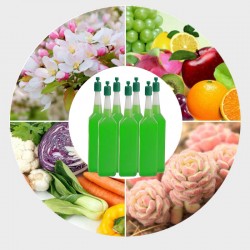 MEHR KAUFEN MEHR SPAREN - Magic hydroponischer Flüssigdünger