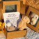 Letzter Tag Sonderpreis-50% RabattHandgefertigter Mini-Plüsch-Teddybr in einer Box
