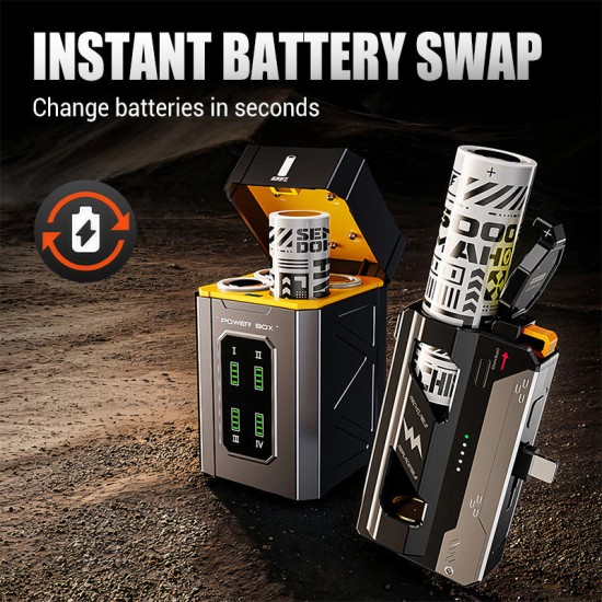 Tragbare Powerbank mit austauschbarer Batteri