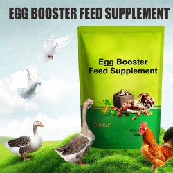 Eier-Booster Futterergnzung