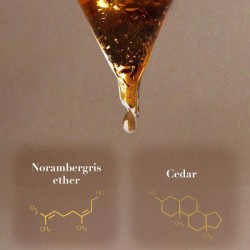Night Rhapsody - Fesselnder und lang anhaltender Herrenduft