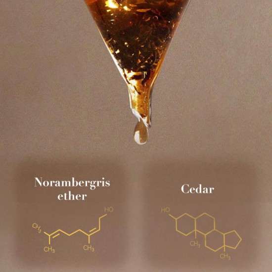 Night Rhapsody - Fesselnder und lang anhaltender Herrenduft