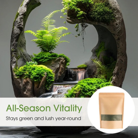 Hochwertiges Moossporenpulver