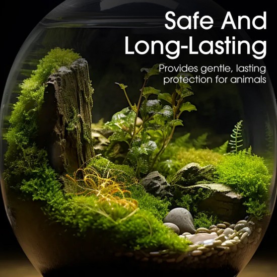 Hochwertiges Moossporenpulver